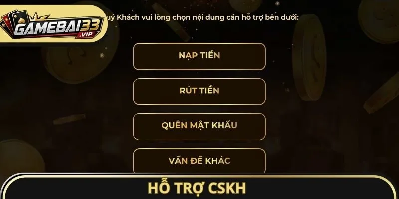 Hỗ trợ CSKH